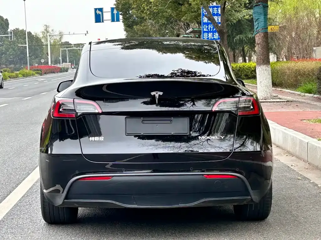 Tesla Model Y — фото 4