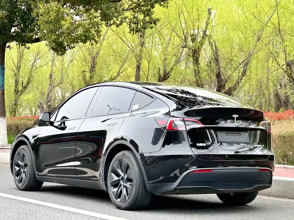 Tesla Model Y — фото 10