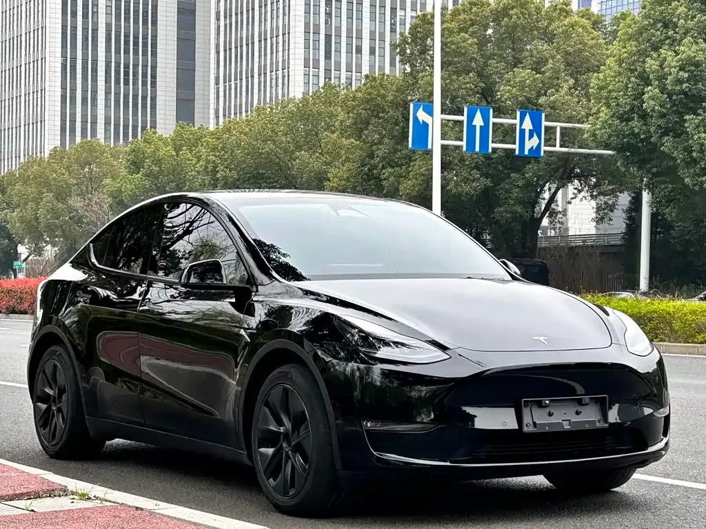 Tesla Model Y — фото 6