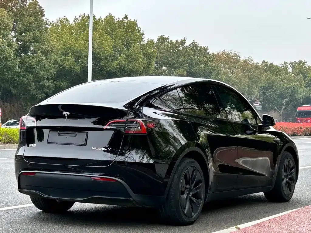 Tesla Model Y — фото 5