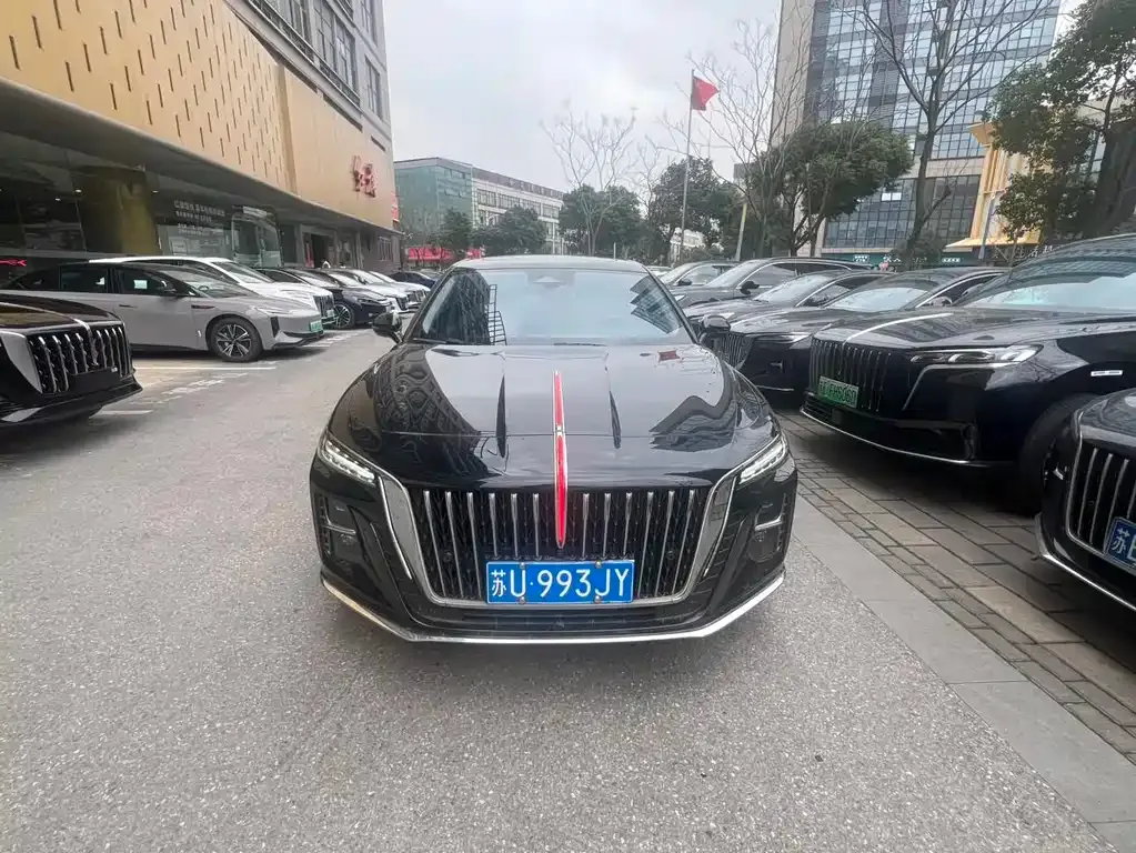Hongqi H5 2024 из CN, фото 1
