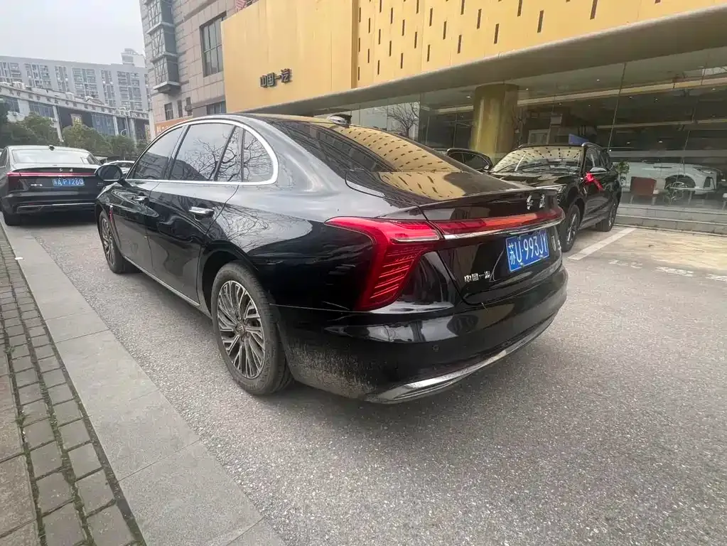 Hongqi H5 2024 из CN, фото 6