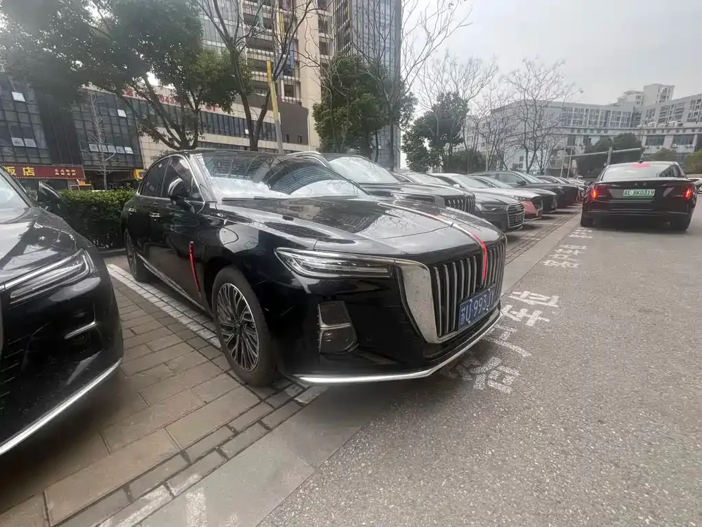 Hongqi H5 2024 из CN, фото 10