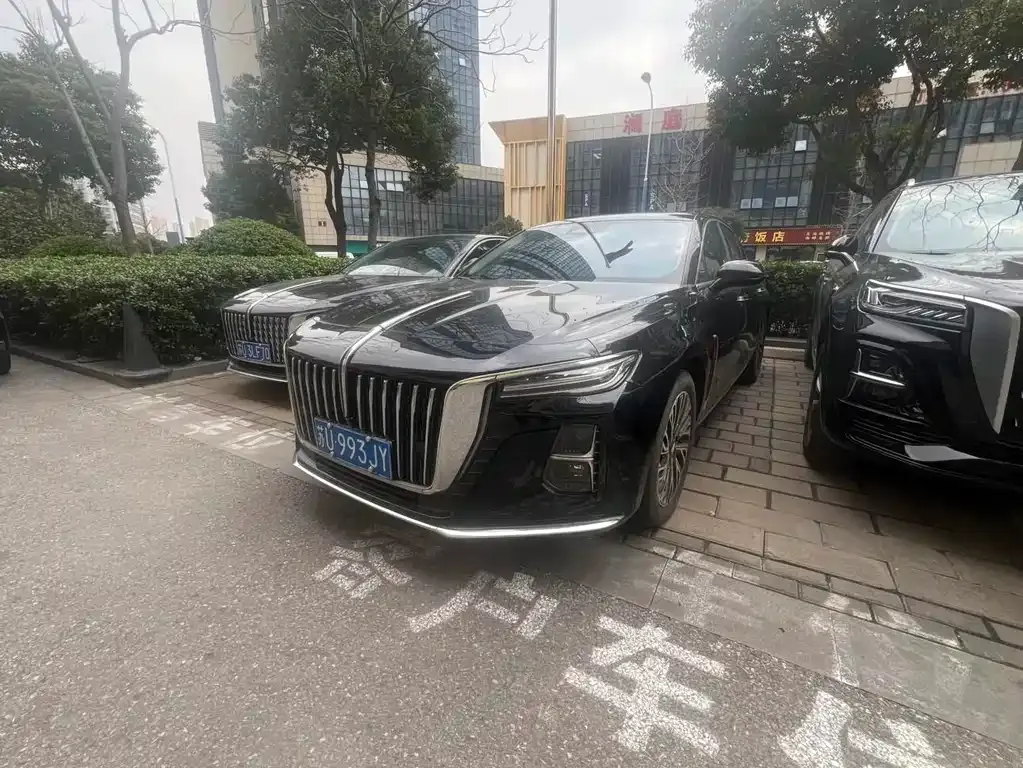 Hongqi H5 2024 из CN, фото 8