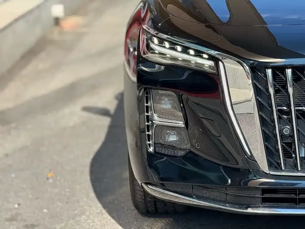 Hongqi H5 PHEV 2025 из CN, фото 6
