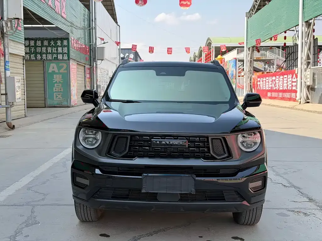 Haval H7 (Big Dog Plus) — фото 9