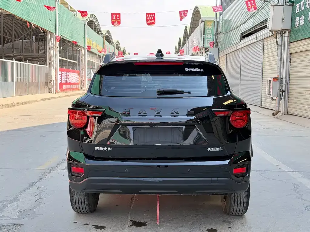 Haval H7 (Big Dog Plus) — фото 5