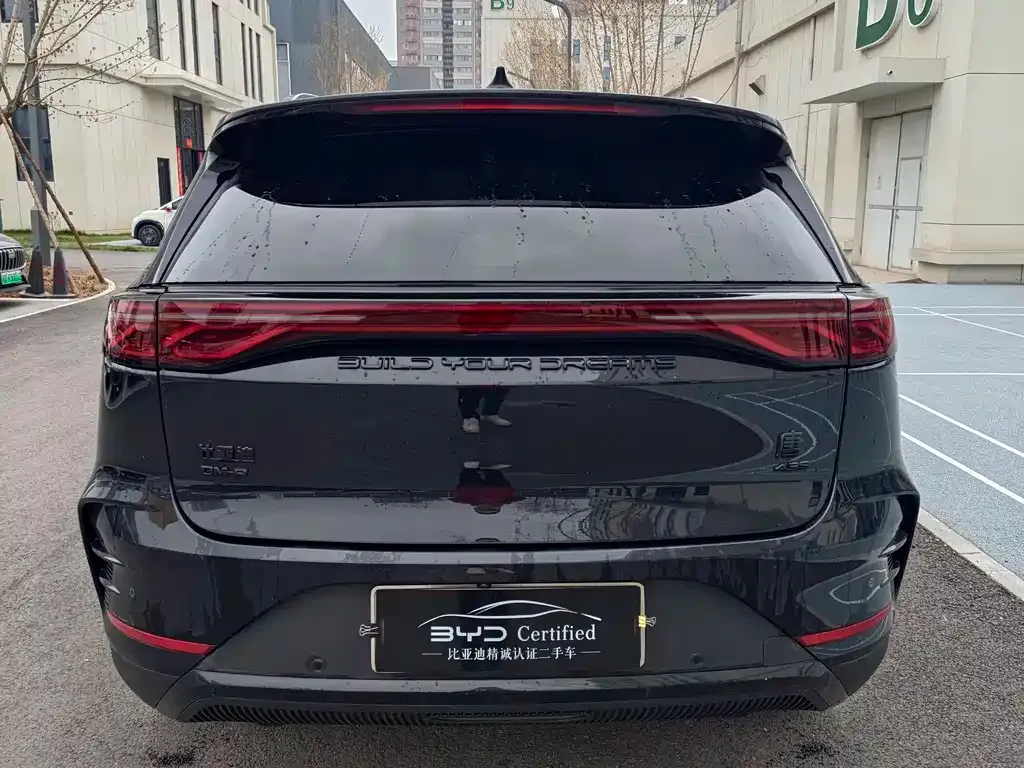 BYD Tang New Energy — фото 10