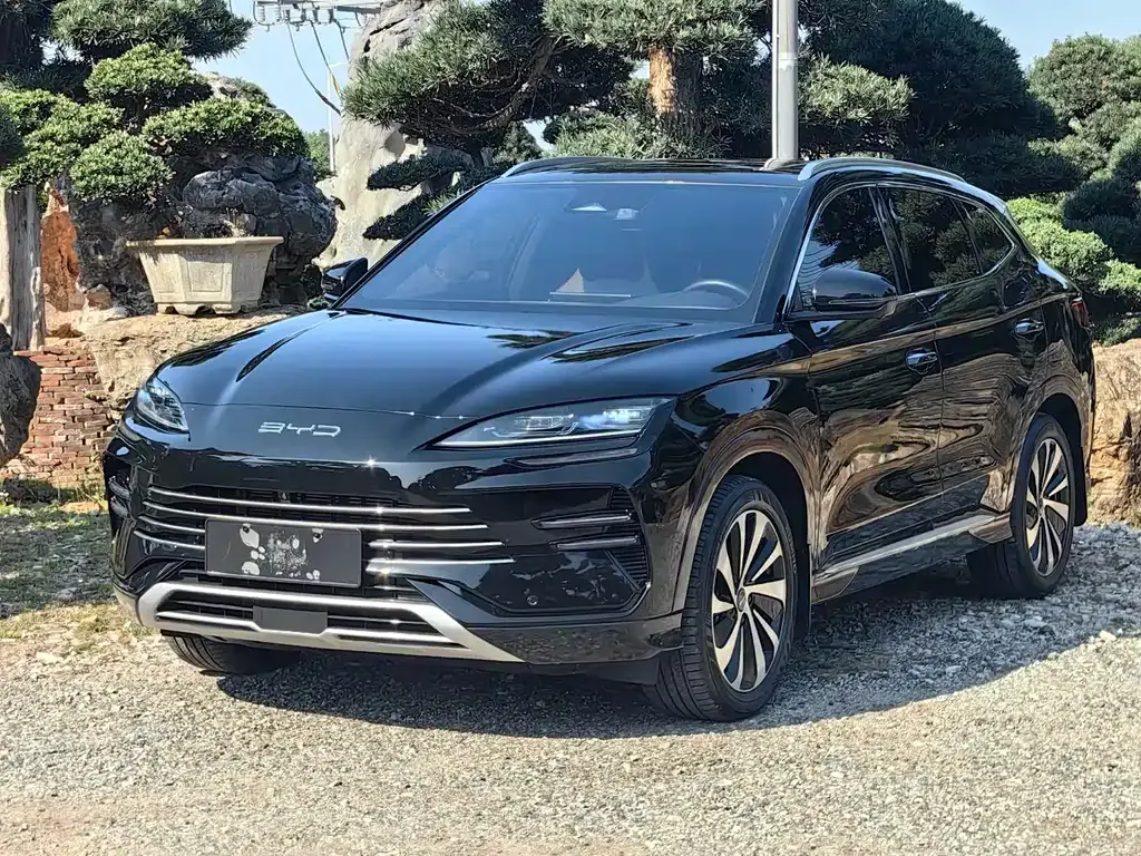BYD PLUS New Energy 2024 из CN, фото 1