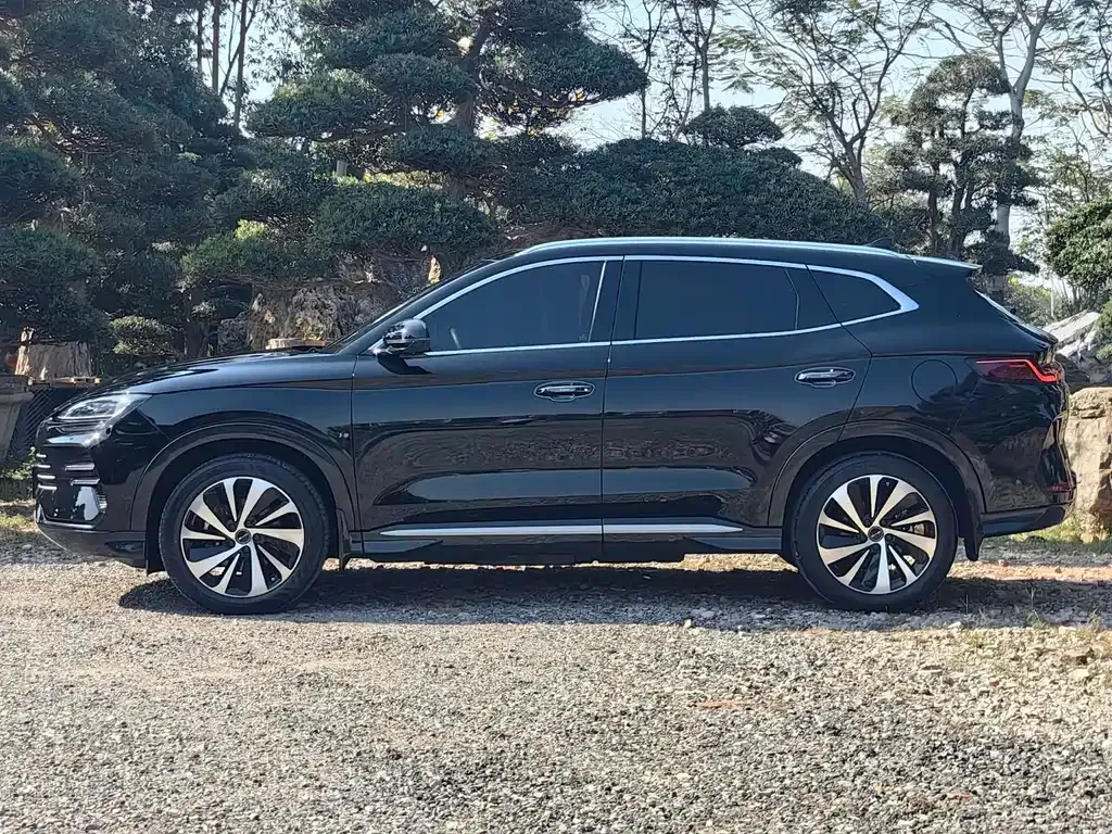 BYD PLUS New Energy 2024 из CN, фото 9