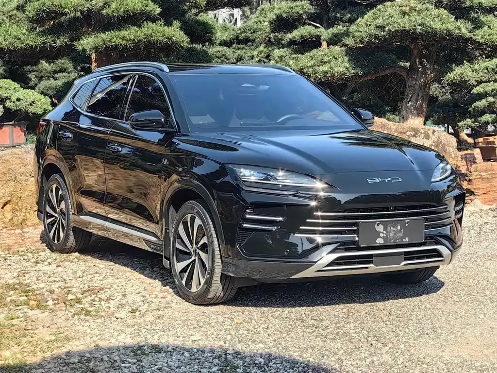 BYD PLUS New Energy 2024 из CN, фото 6