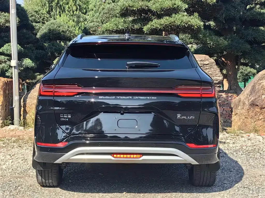 BYD PLUS New Energy 2024 из CN, фото 8