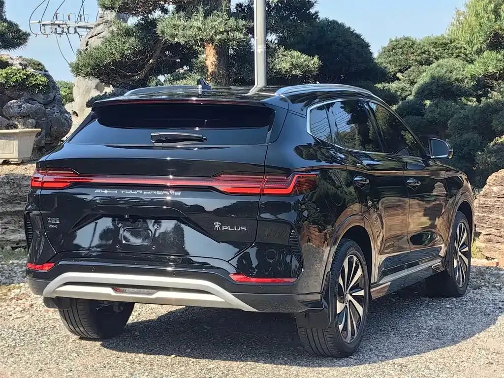 BYD PLUS New Energy 2024 из CN, фото 10