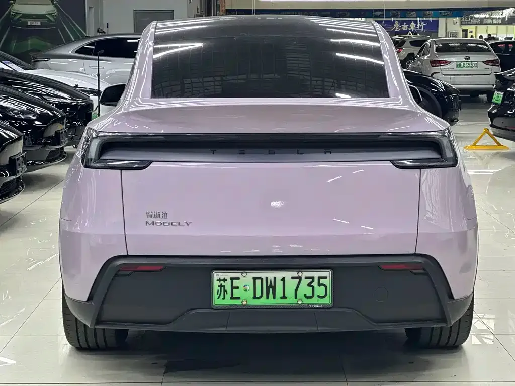 Tesla Model Y 2025 из CN, фото 6