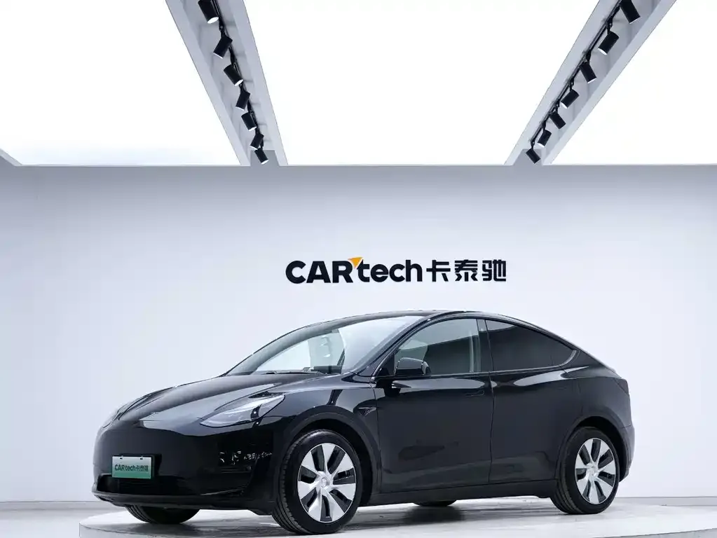 Tesla Model Y 2021 из CN, фото 1