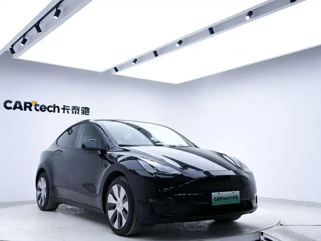 Tesla Model Y 2021 из CN, фото 7