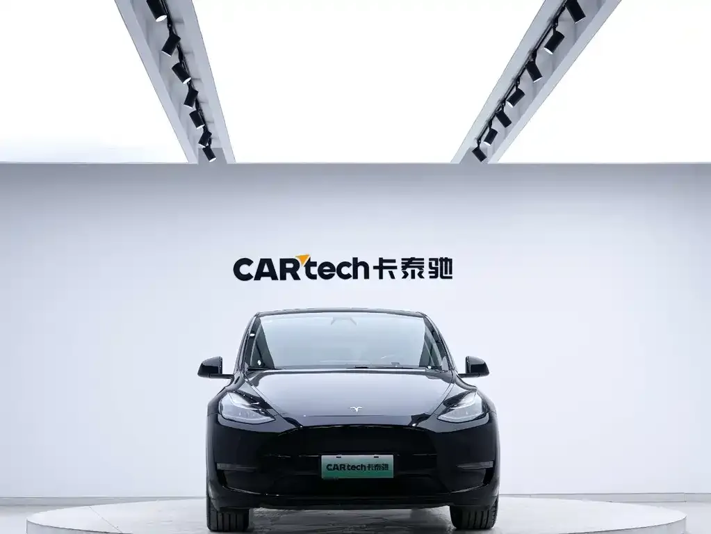 Tesla Model Y 2021 из CN, фото 8