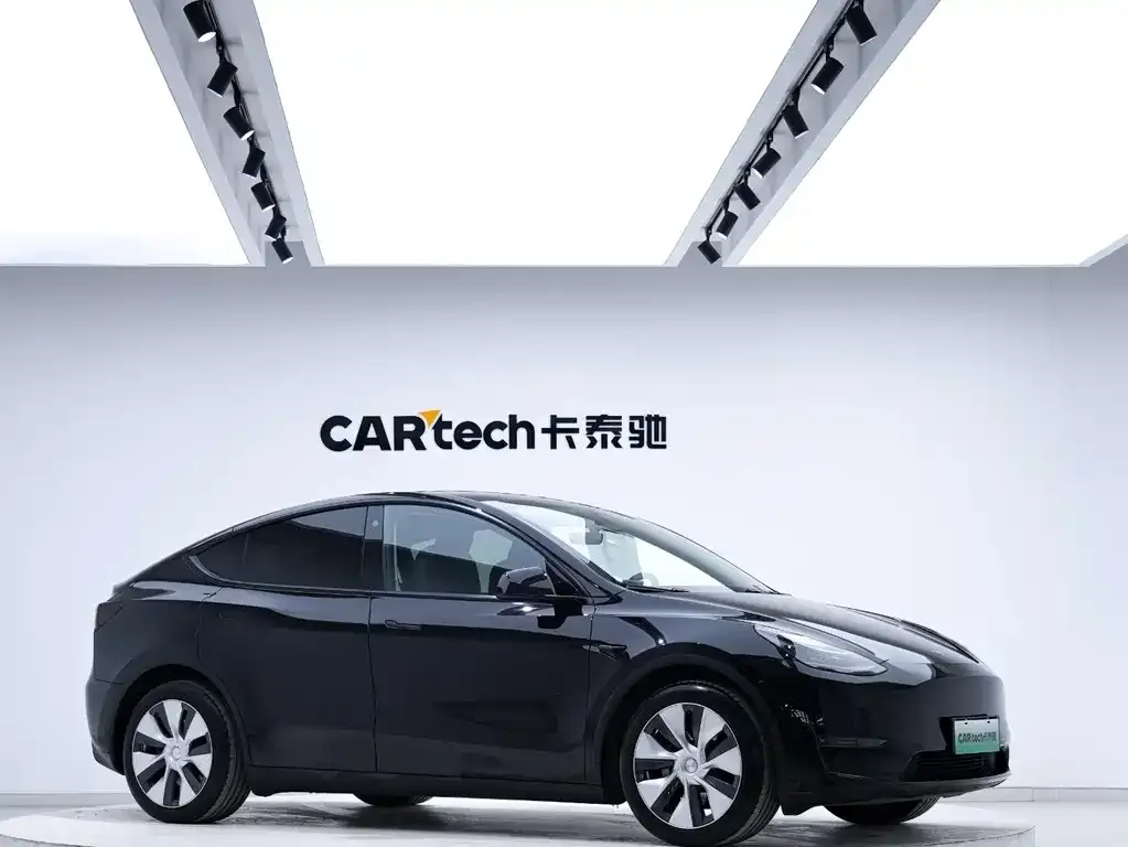 Tesla Model Y 2021 из CN, фото 5