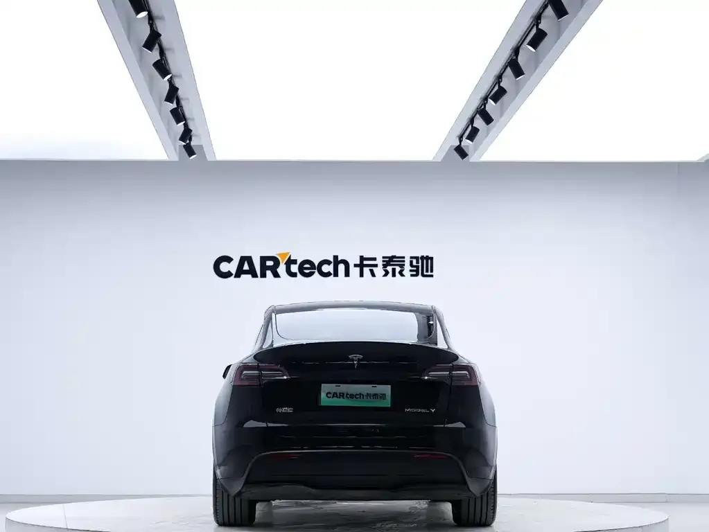 Tesla Model Y 2021 из CN, фото 2