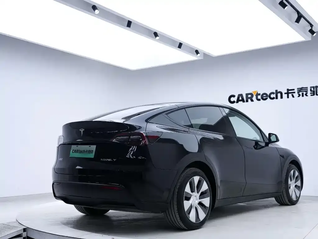 Tesla Model Y 2021 из CN, фото 6