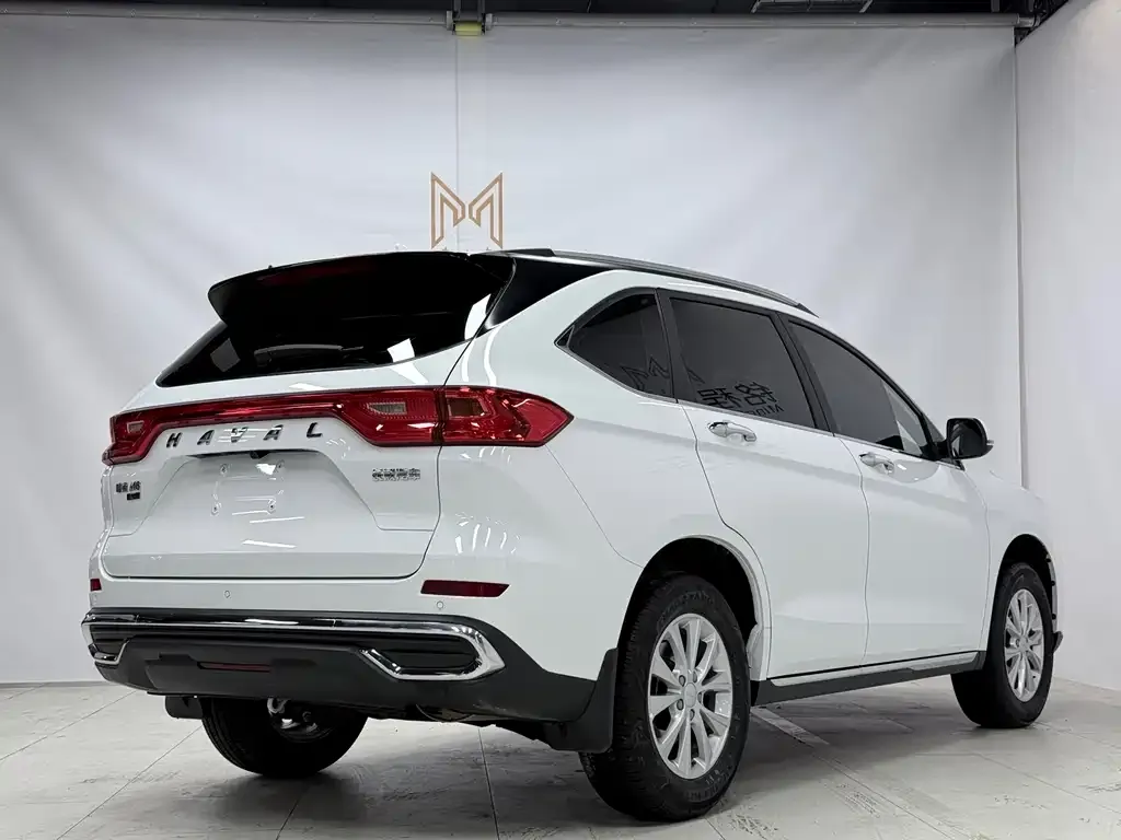 Haval M6 2023 из CN, фото 2