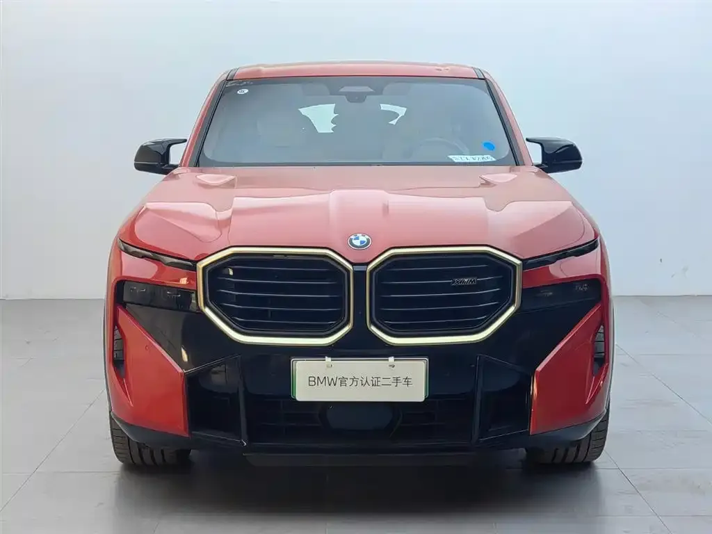 BMW XM 2023 из CN, фото 4