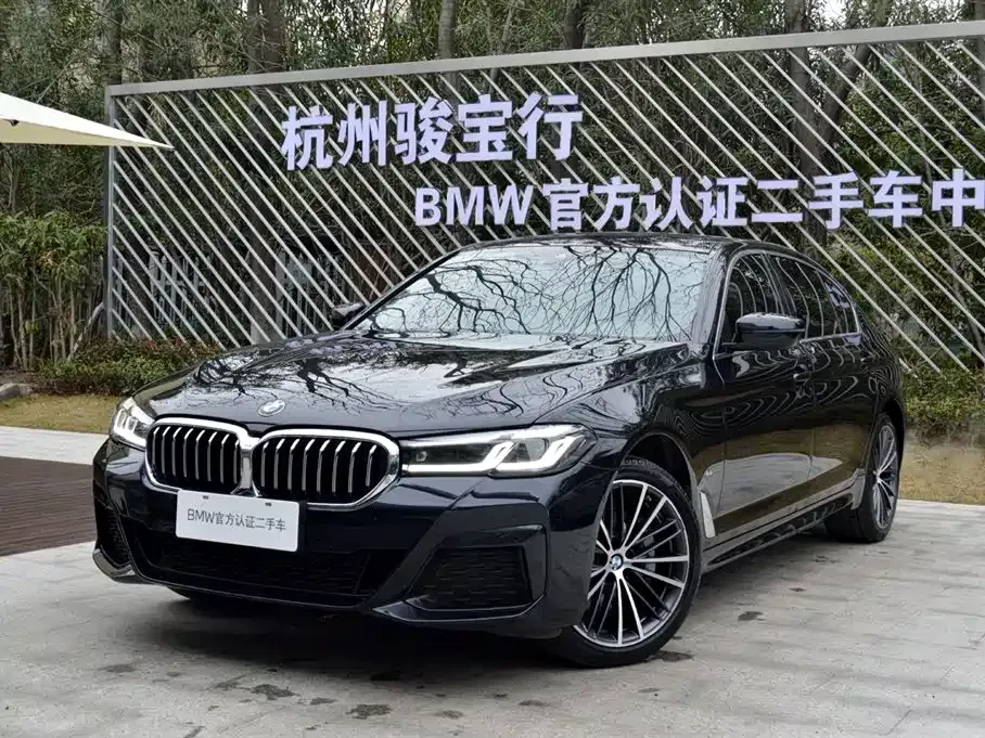 BMW 5 Series 2024 из CN, фото 1