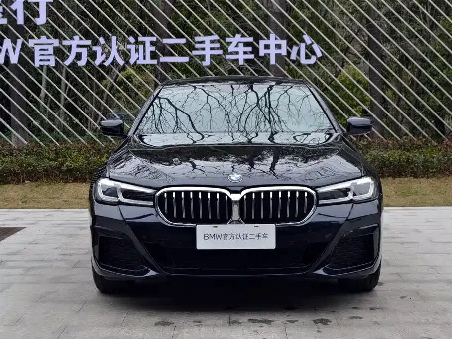BMW 5 Series 2024 из CN, фото 6