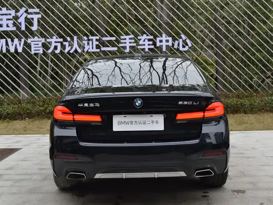 BMW 5 Series 2024 из CN, фото 8