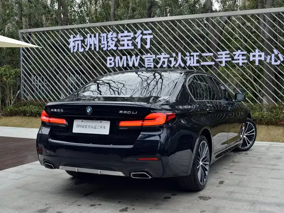 BMW 5 Series 2024 из CN, фото 10