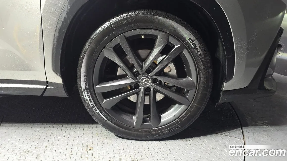 Lexus NX 2023 из KR, фото 4