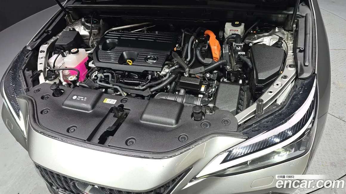 Lexus NX 2023 из KR, фото 8