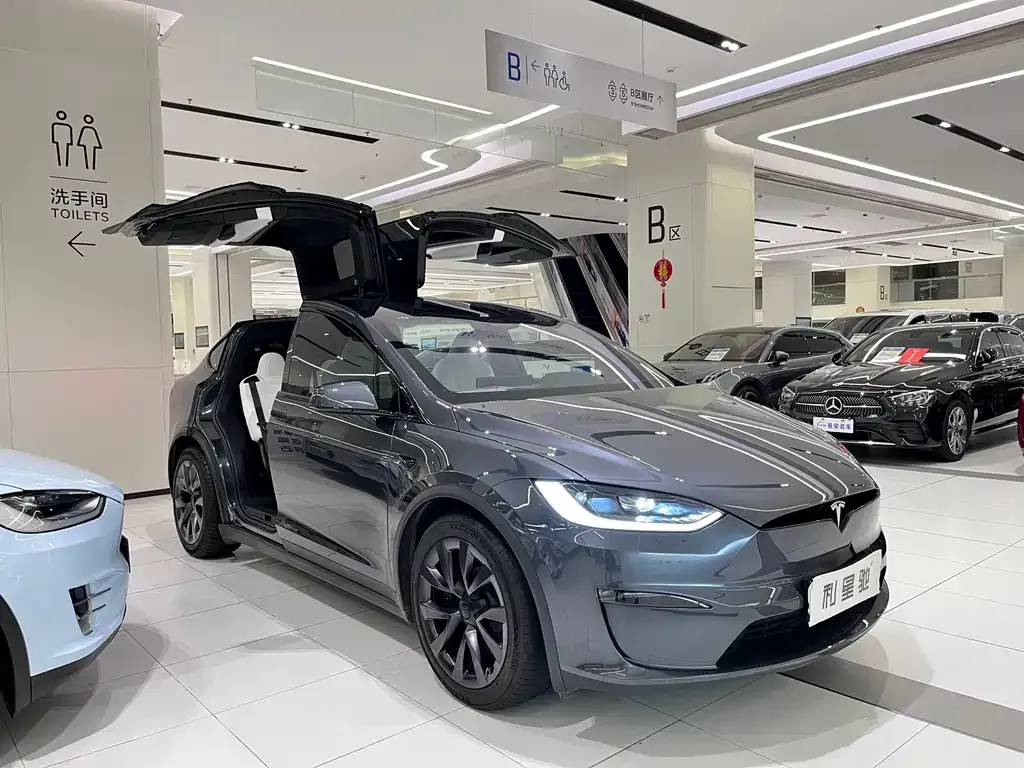Tesla Model X 2023 из CN, фото 9