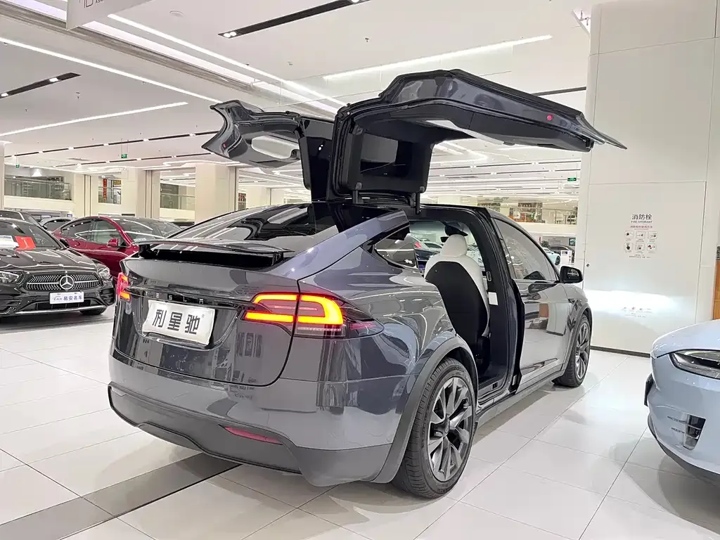 Tesla Model X 2023 из CN, фото 2