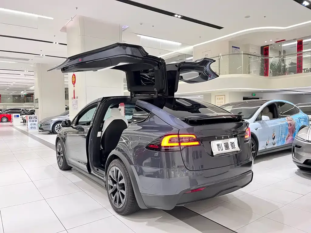 Tesla Model X 2023 из CN, фото 6