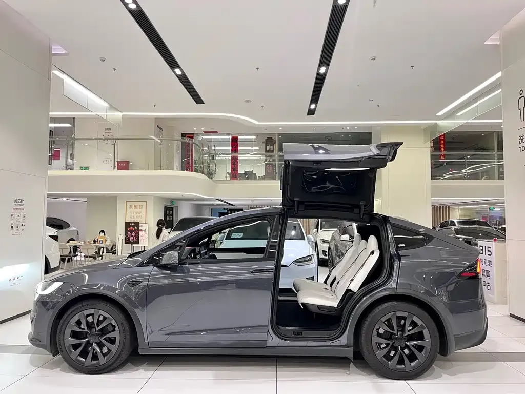 Tesla Model X 2023 из CN, фото 3