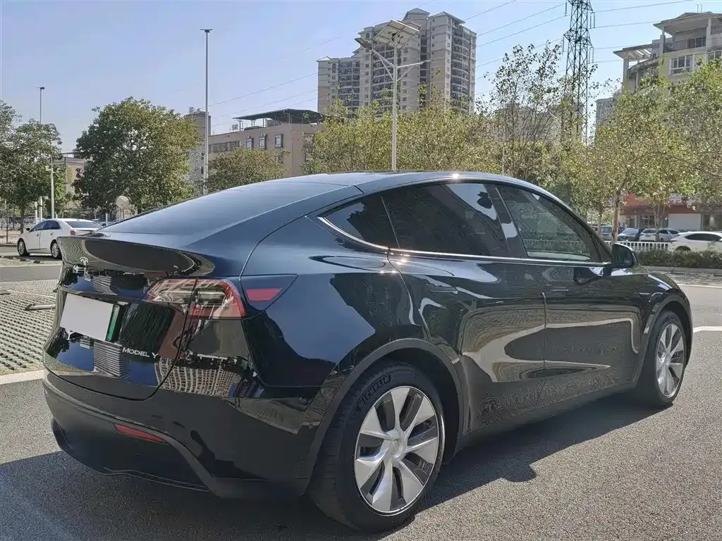 Tesla Model Y — фото 9