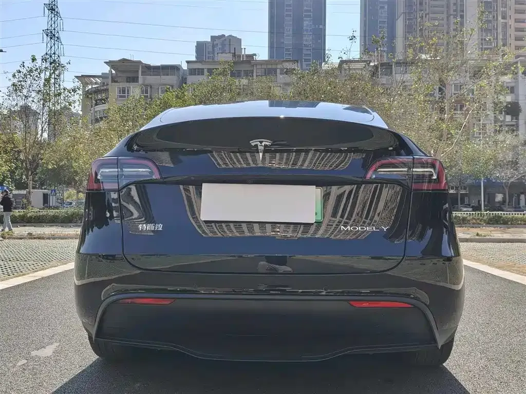 Tesla Model Y — фото 7
