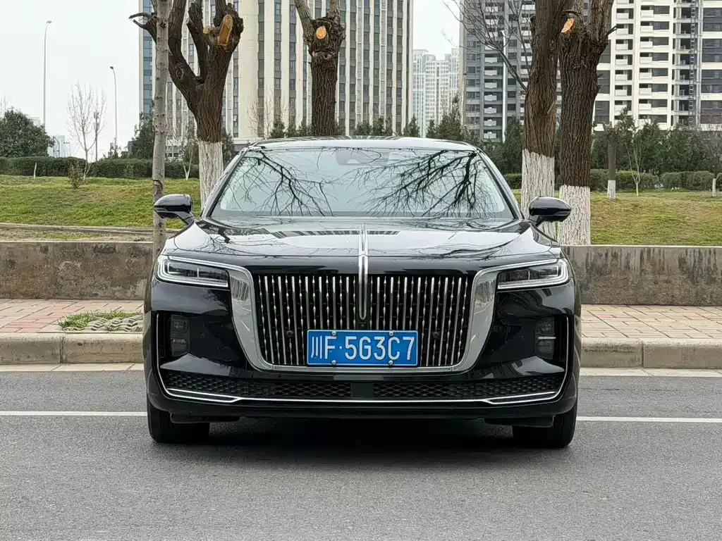 Hongqi H9 2021 из CN, фото 3