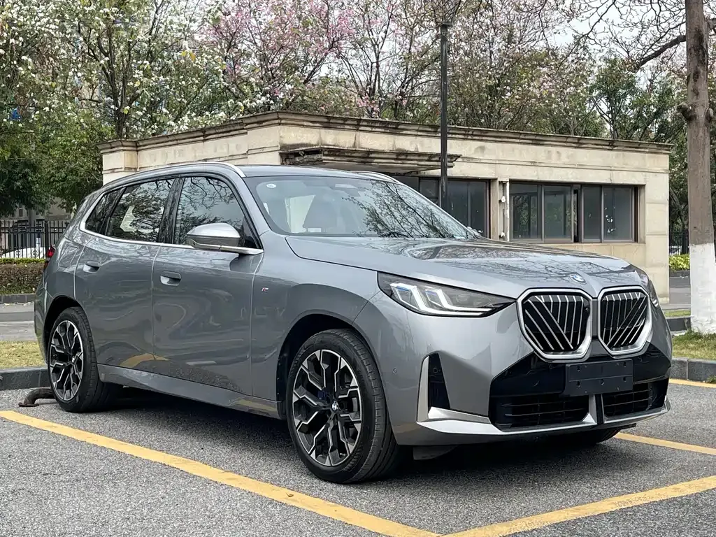 BMW X3 2025 из CN, фото 6