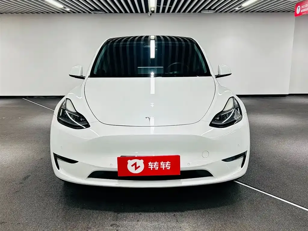 Tesla Model Y 2021 из CN, фото 5