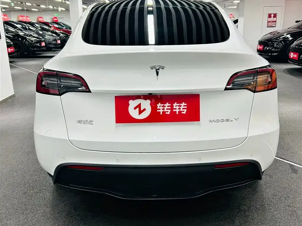 Tesla Model Y 2021 из CN, фото 8