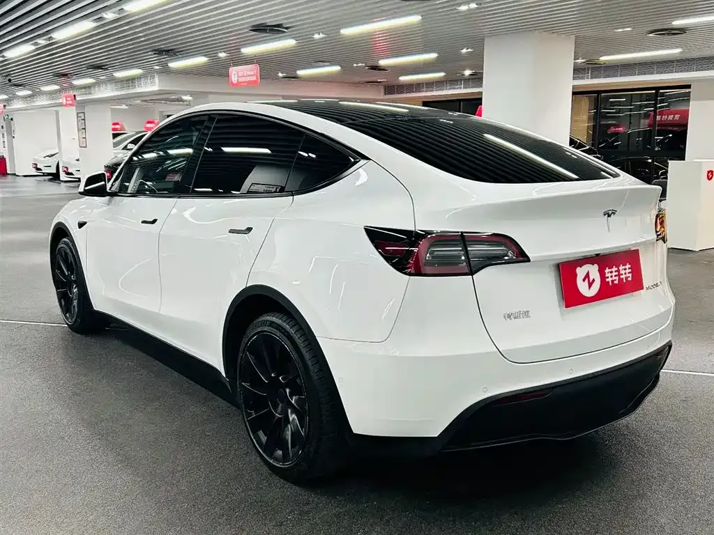 Tesla Model Y 2021 из CN, фото 9