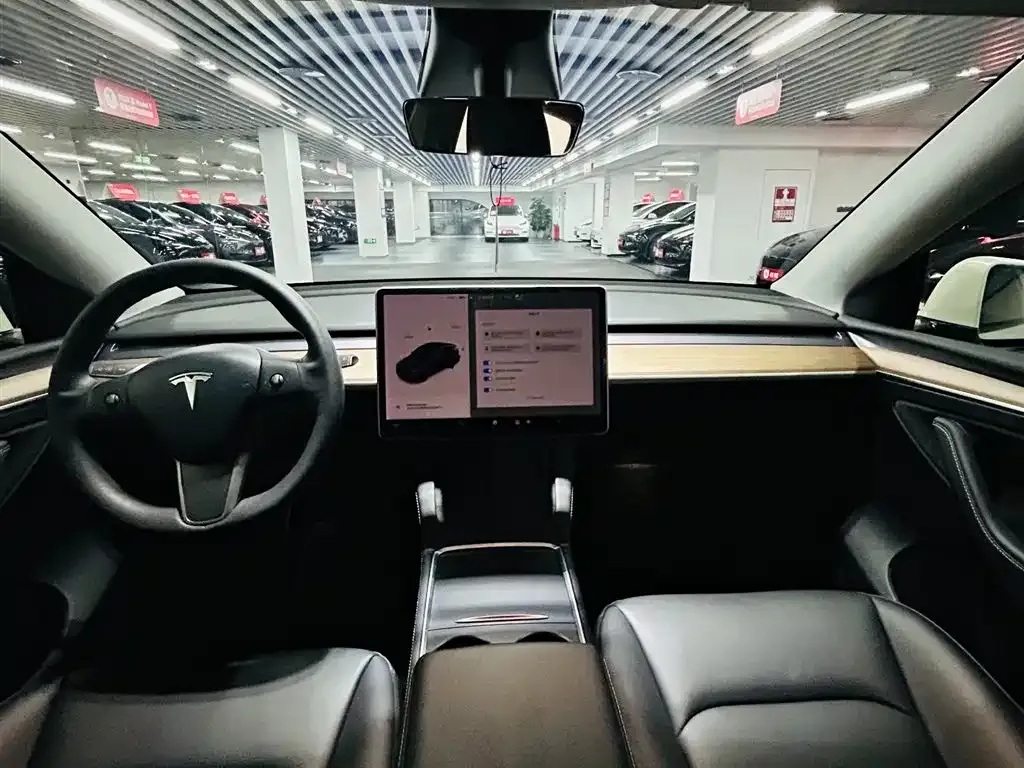 Tesla Model Y 2021 из CN, фото 7