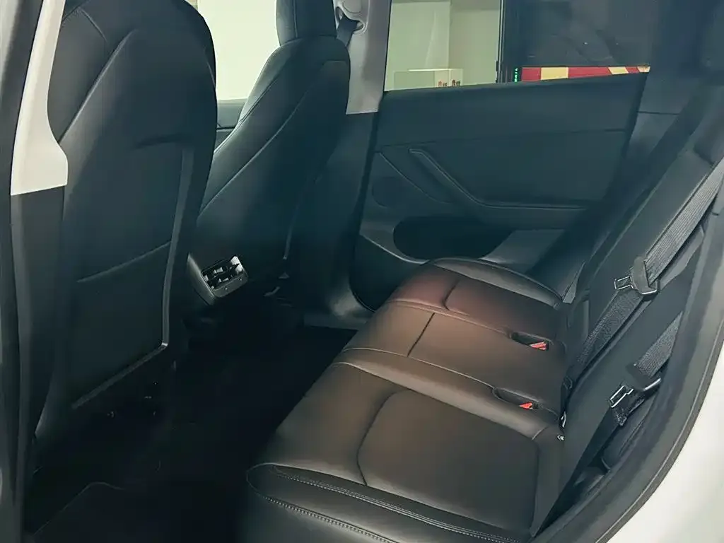 Tesla Model Y 2021 из CN, фото 4