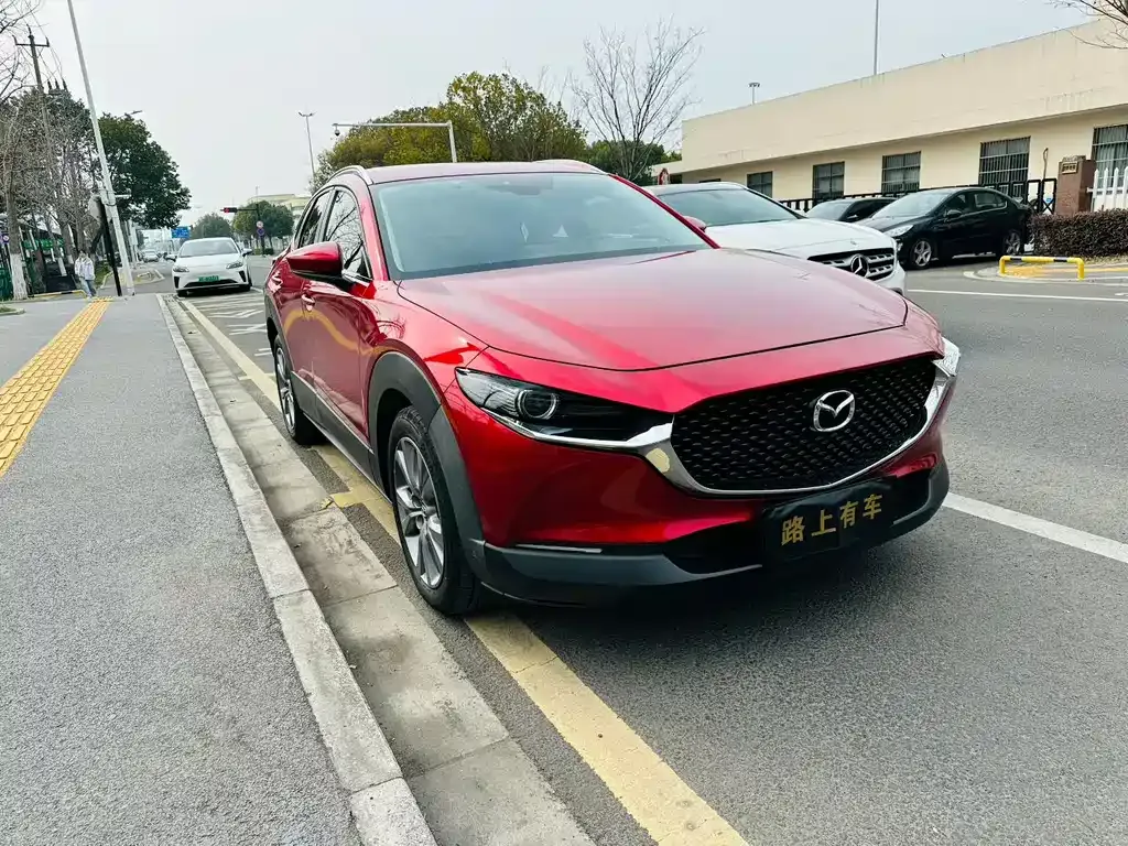 Mazda CX-30 2021 из CN, фото 7