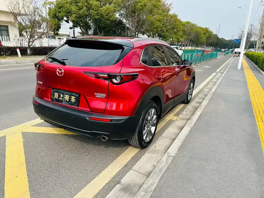 Mazda CX-30 2021 из CN, фото 4