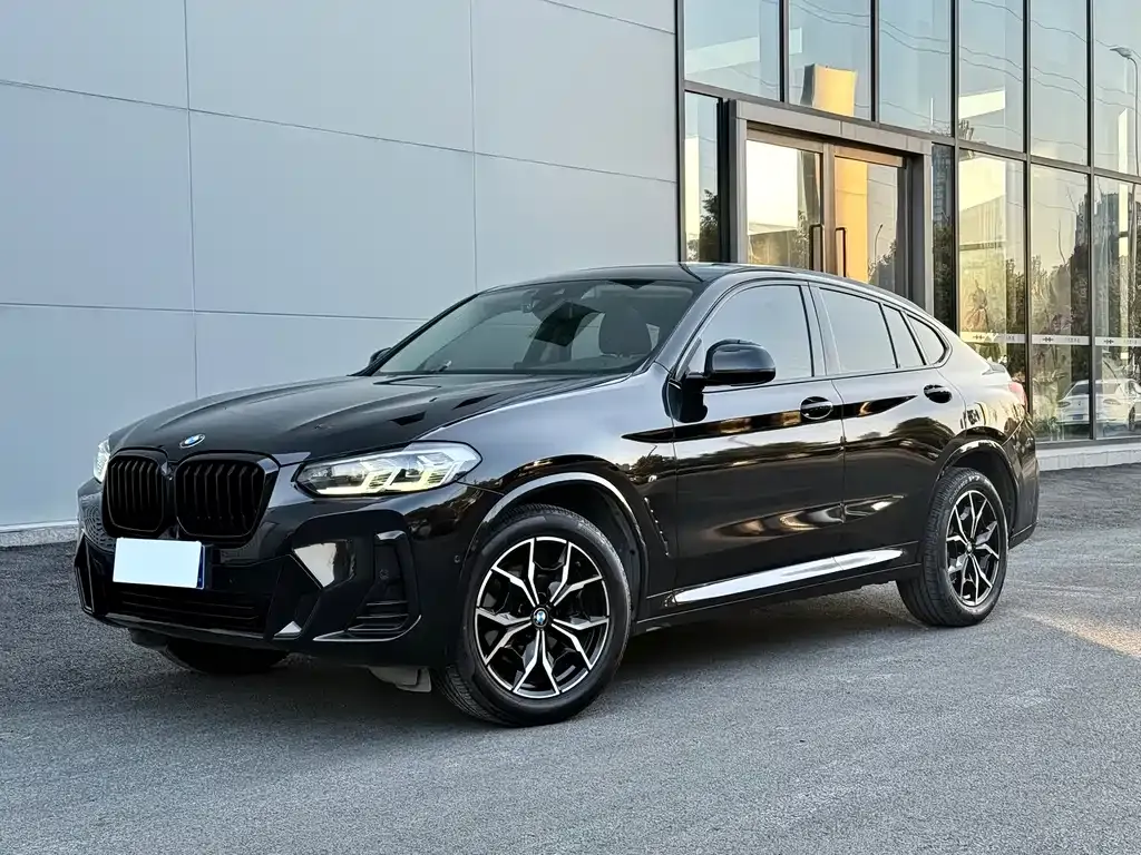 BMW X4 2022 из CN, фото 1
