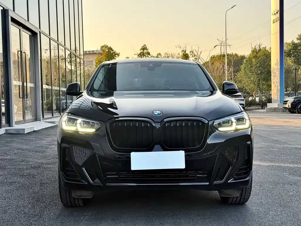BMW X4 2022 из CN, фото 7