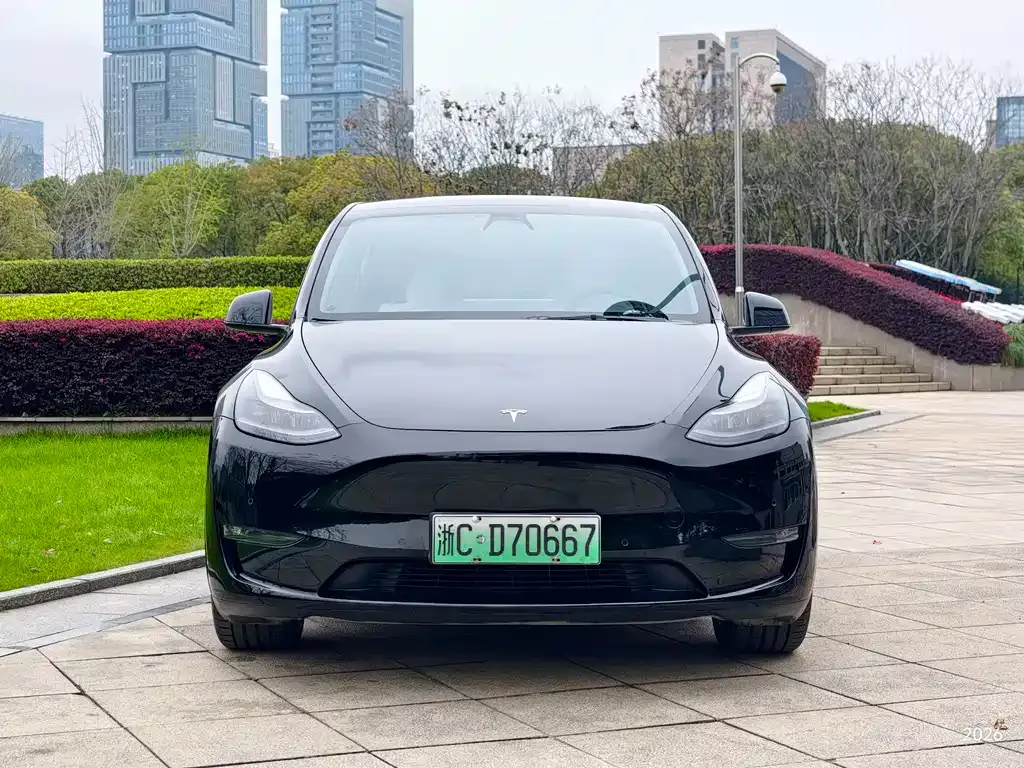 Tesla Model Y — фото 8